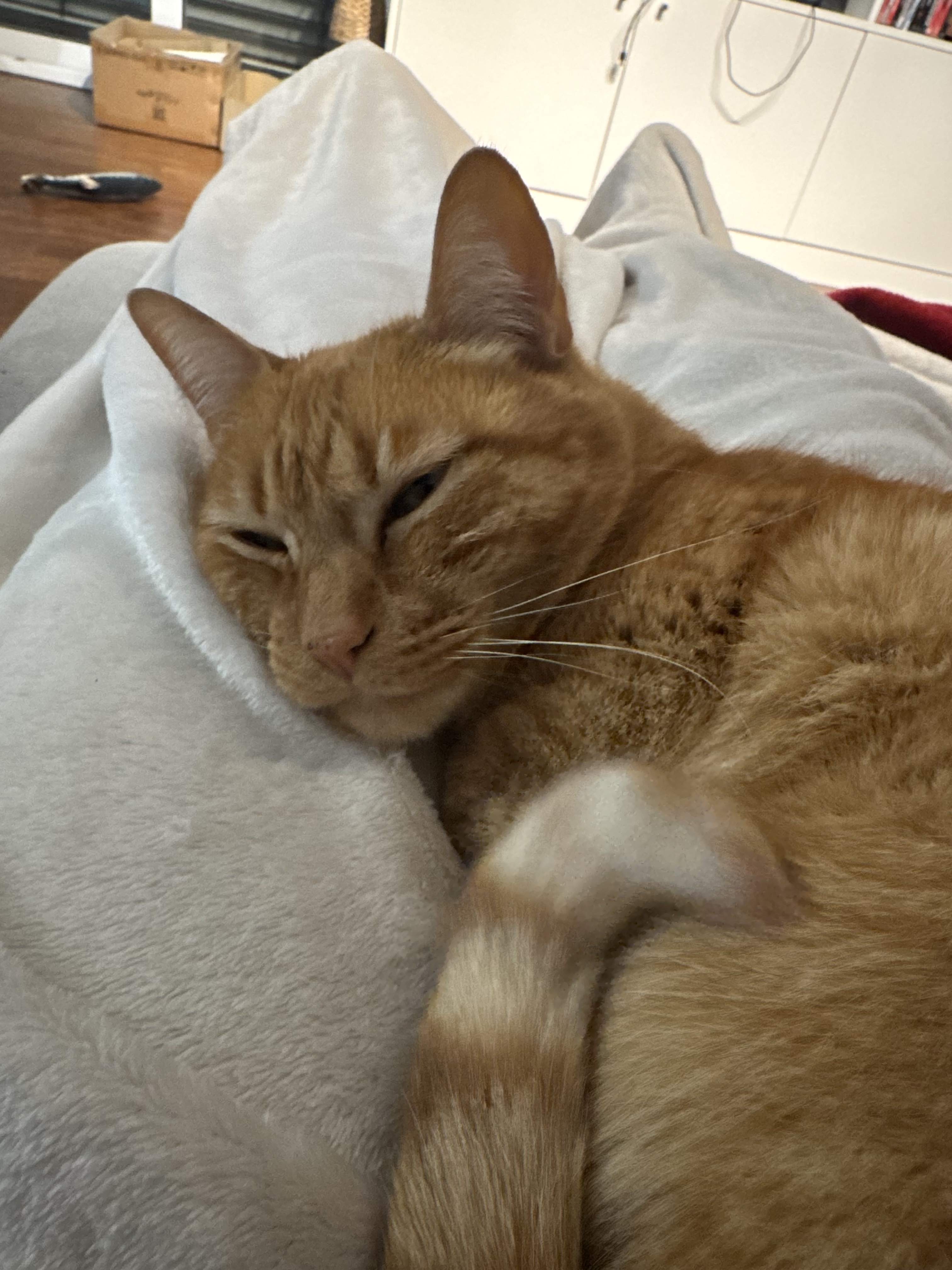 Ferramentas digitais