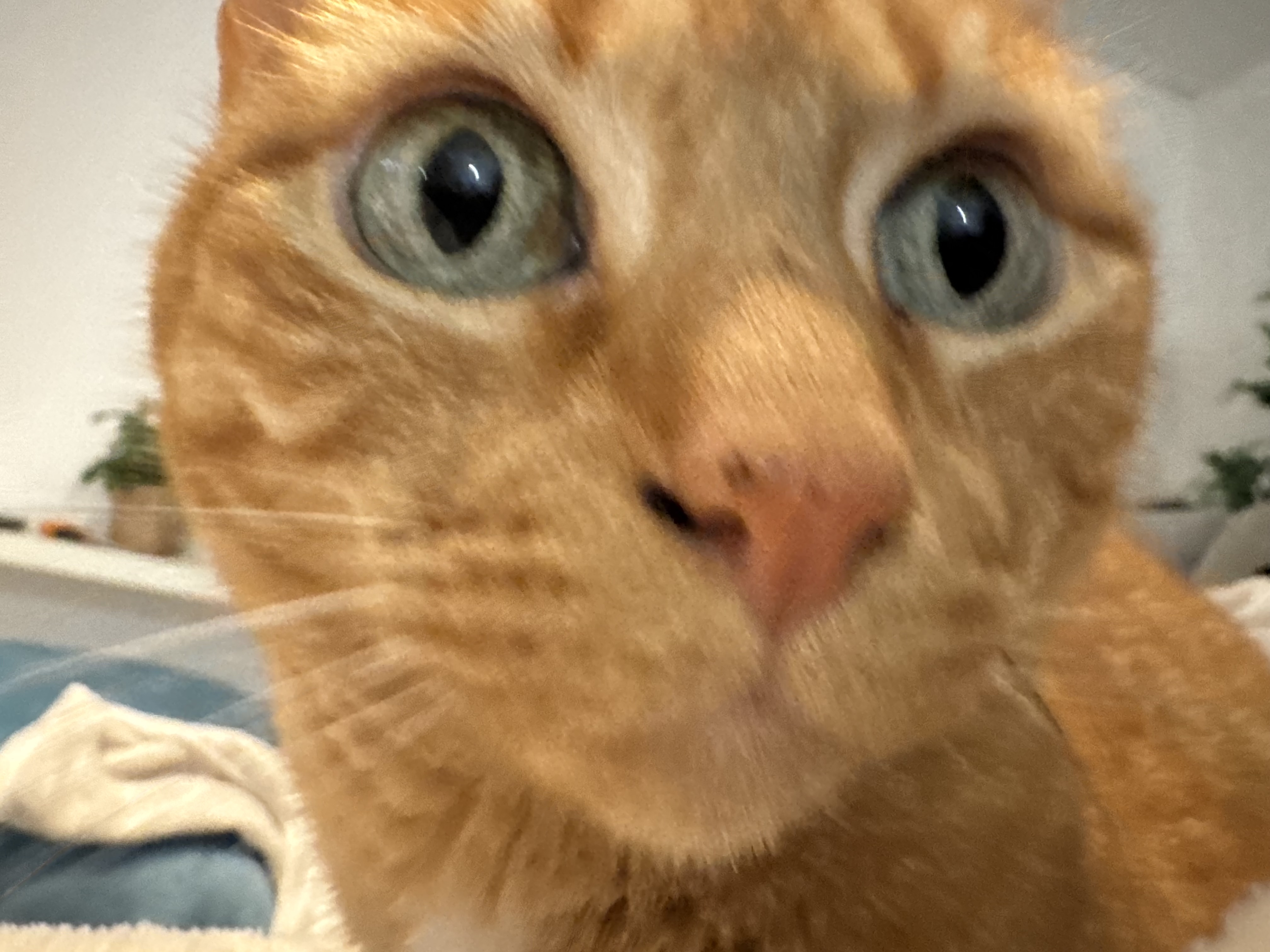 Simulador de capacidade