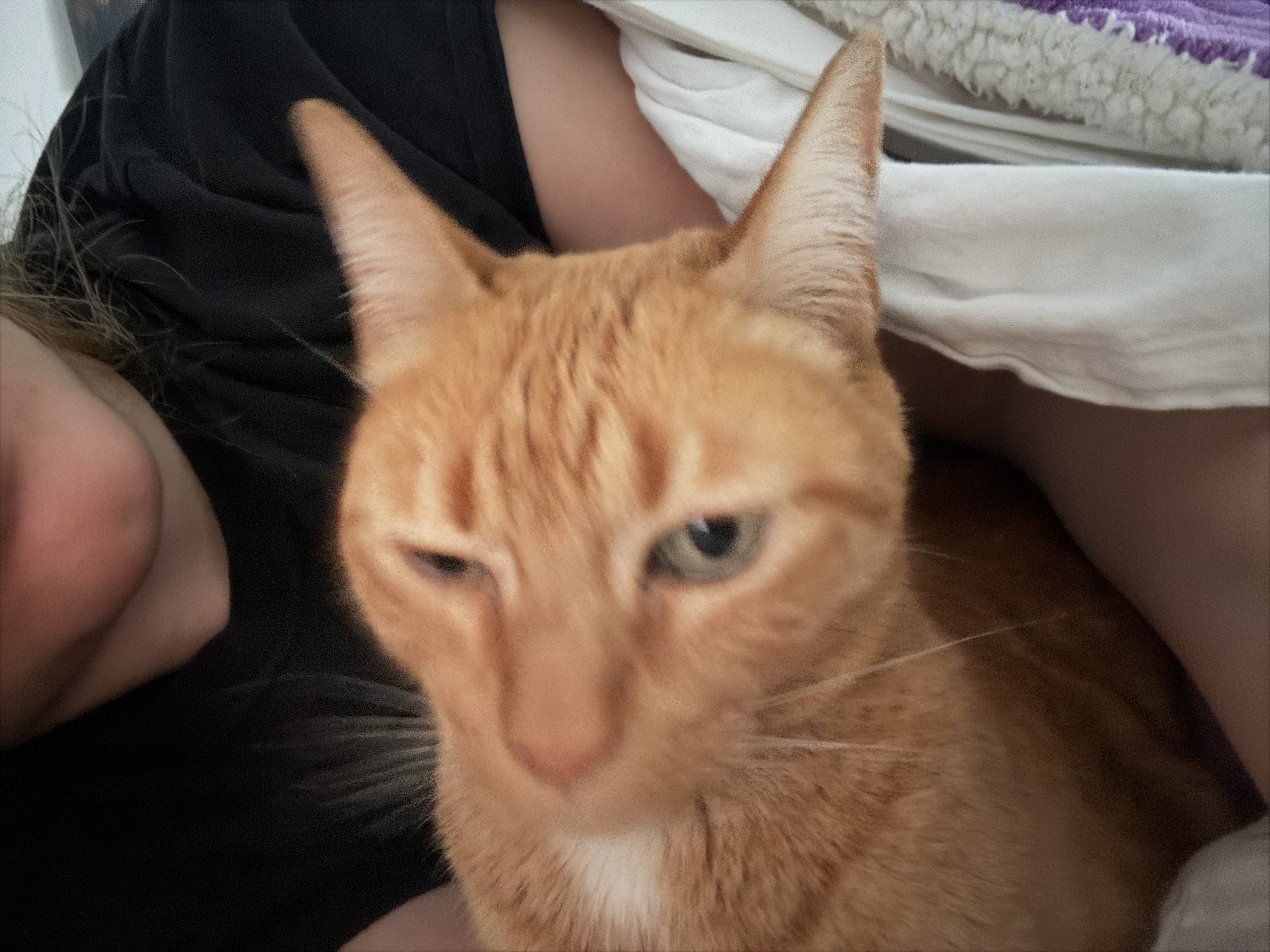 Dashboards para operações